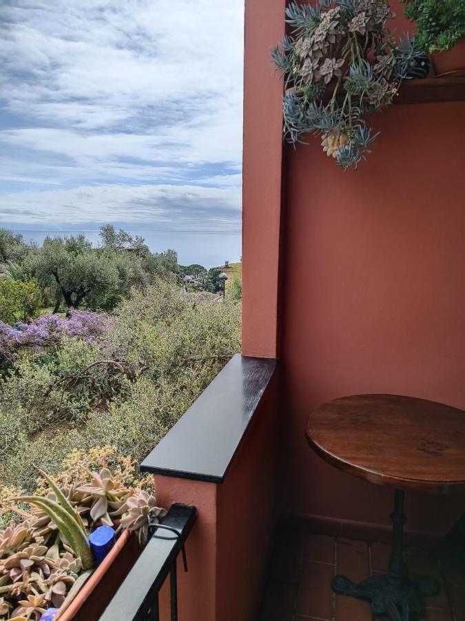 Villa Caribe Affittacamere มอนเตรอสโซ อัล มาเร ภายนอก รูปภาพ