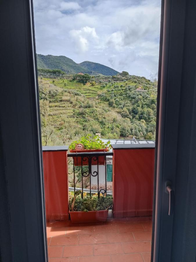 Villa Caribe Affittacamere มอนเตรอสโซ อัล มาเร ภายนอก รูปภาพ
